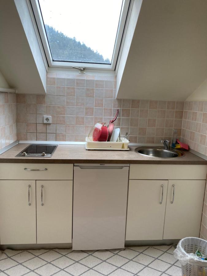Apartma Regina スロヴェニ・グラデツ エクステリア 写真