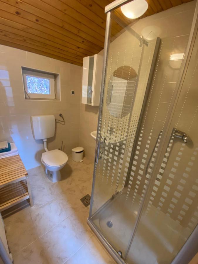 Apartma Regina スロヴェニ・グラデツ エクステリア 写真